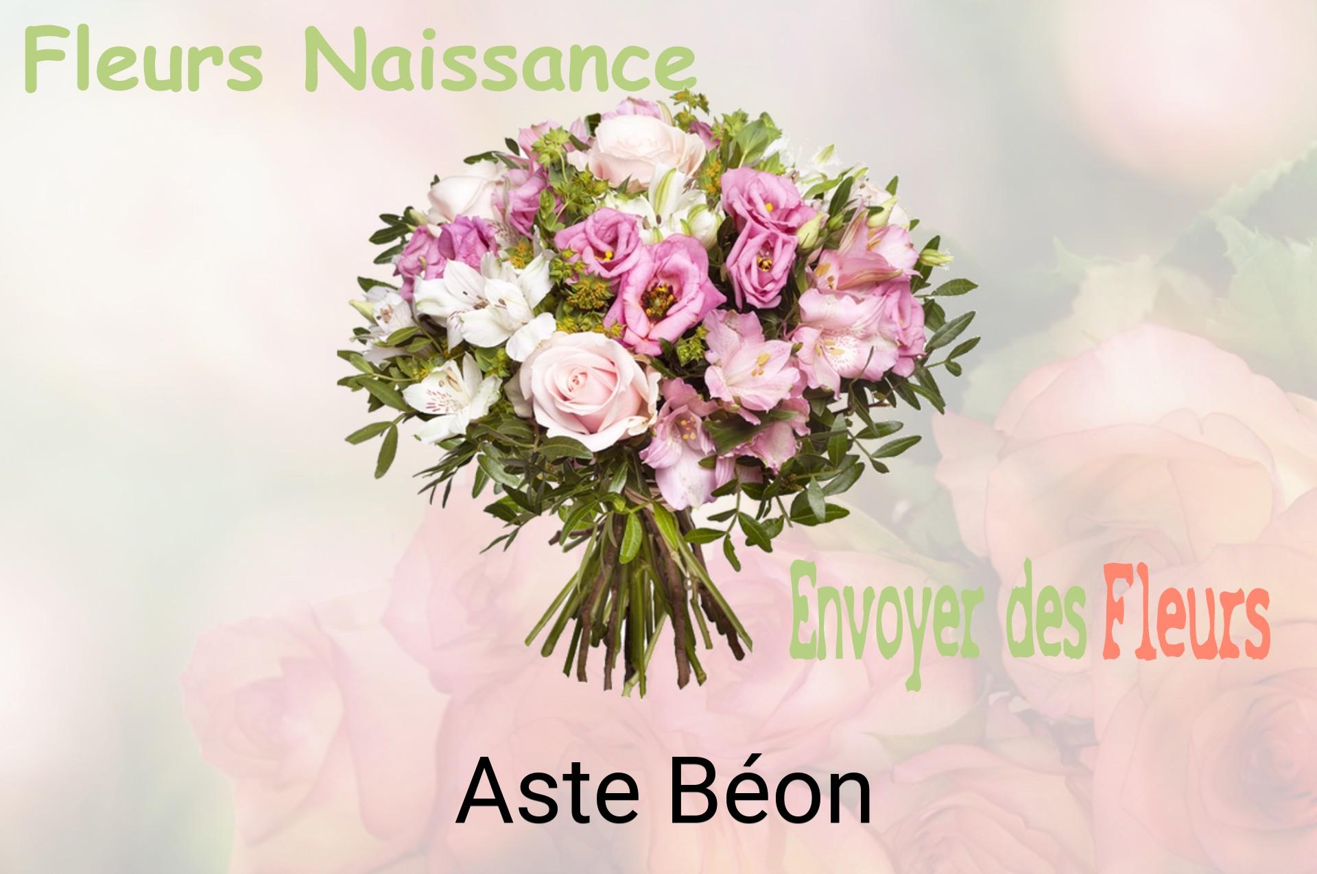 Bouquet de fleurs de naissance livré à Aste-Béon